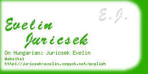 evelin juricsek business card